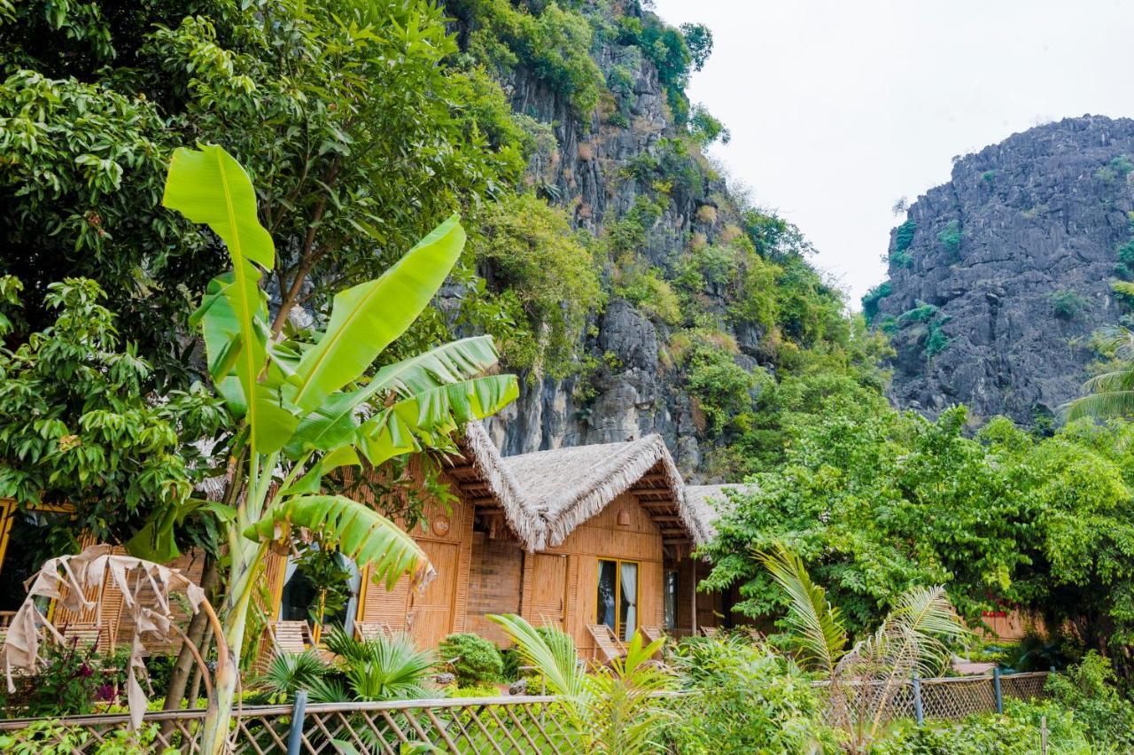 Tam Coc Horizon Bungalow Ninh Bình Exteriör bild
